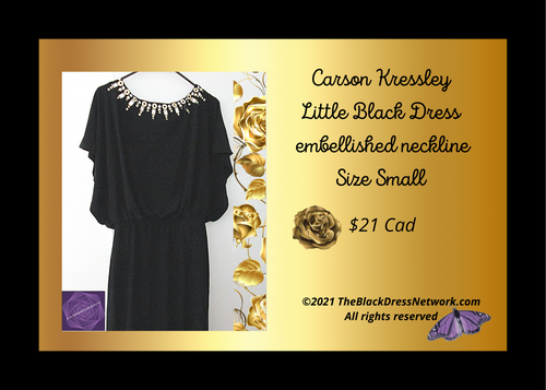 Carson Kressley Little Black Dress Size Small  embellished neckline Fab.