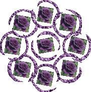 Load image into Gallery viewer, Become a Worldwide Member and Enjoy Discounts and Free Shipping Promotion Plus More!.